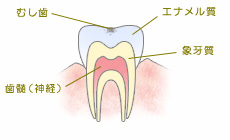 CO（シーオー）